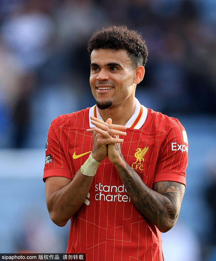 的车迷与参 的车迷与参